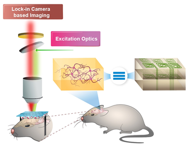 Quantum sensing